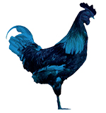 Hähnchen